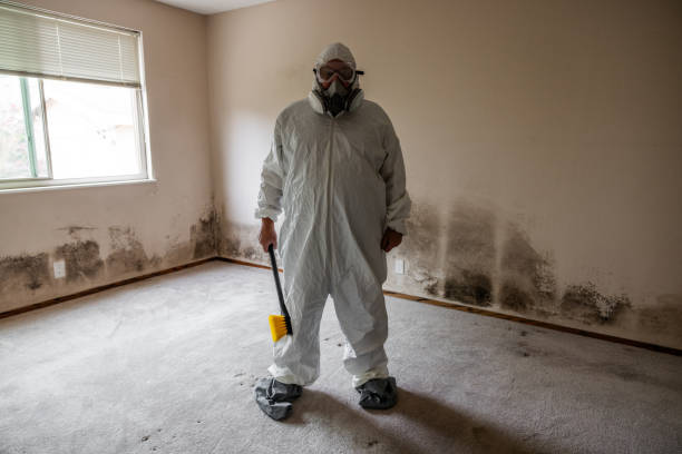 Mold Remediation for Rental Properties in Raymond, WA